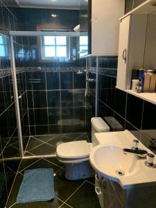 un baño con inodoro y lavabo en Chalé Vila Rica, en Campos do Jordão