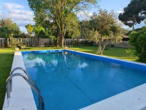 a large blue swimming pool in a yard at Chalet Las Rosas in Albacete