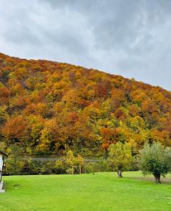 a hill with a bunch of colorful trees on it at River Resort Vinac Jajce in Jajce