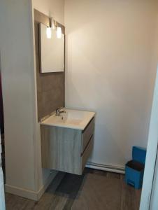 łazienka z umywalką i lustrem w obiekcie Maison conviviale à Cayeux-sur-Mer avec jardin w mieście Cayeux-sur-Mer