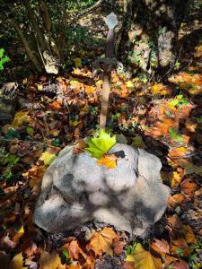 a knife on a rock in a pile of leaves at The Miners Log Cabin in Blaina