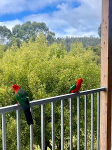 two birds sitting on top of a fence at The Bluff Shack in Wye River +2 photos