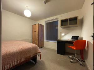 Fotografie z fotogalerie ubytování Newly Renovated House in Aberystwyth Town Centre v destinaci Aberystwyth