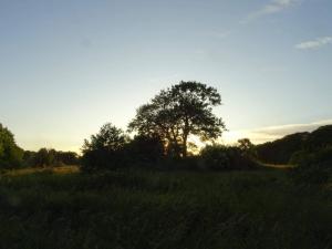 Příroda nedaleko prázdninového domu + 27 fotografií