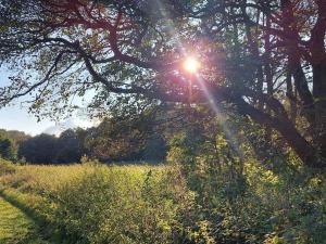 Ảnh trong thư viện ảnh của 6 person holiday home in Ebeltoft ở Ebeltoft