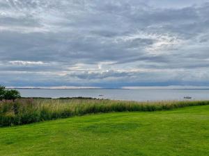 a grassy field with a view of a body of water at 6 person holiday home in Vinderup-By Traum in Vinderup