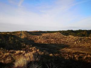 Naturlandskabet i nærheden af feriehuset + 41 billeder