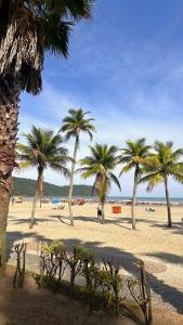 a group of palm trees on a sandy beach at Vida a Beira Mar -Apartamentos com Garagem, Ar Condicionado e Portaria 24h, a 3 Minutos da Praia in Praia Grande