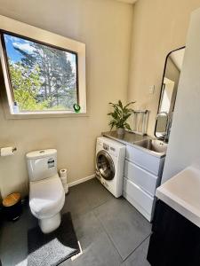a bathroom with a toilet and a sink and a washing machine at Pauanui Orchard Farmstay - Pet Friendly! in Hikuai