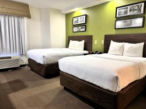 弗洛伍德Travelodge by Wyndham的绿墙旅馆客房的两张床 更多92张照片