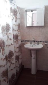 a bathroom with a sink and a shower curtain at Complejo Junior in San Clemente del Tuyu