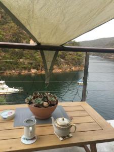 a table with a bowl of plants and cups on it at Dreamtime Bay 