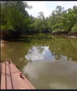 una barca su un fiume con un riflesso nell'acqua di House available for the Cop ad Ananindeua