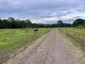 Galeriebild der Unterkunft Apartment near the Río Niño in Upala