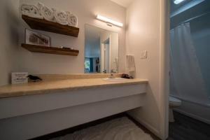 a bathroom with a sink and a mirror at Glory Dayz in Eureka Springs +128 photos