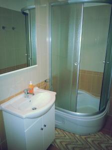 a bathroom with a sink and a glass shower at Studio Apartman Kamelija in Opatija
