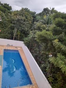 a swimming pool with trees in the background at Thilo Guest House Auroville in Auroville