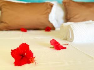 En eller flere senge i et værelse på Air-conditioned sea access studio, fiber optic, parking + 55 billeder