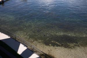 een uitzicht op een waterlichaam met een hek bij Lakeside Comfort condo in Lake Arrowhead