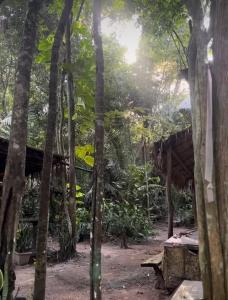 a hut in the jungle with trees in the foreground at Campo de Heliantos in Santarém