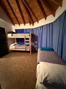Dos literas en una habitación con cortinas azules. en Hostel Mapu Paigue, en El Chaltén 22 fotos más