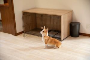 Φωτογραφία από το άλμπουμ του rinne 2nd living Nasu Garden σε Nasu +15 φωτογραφίες