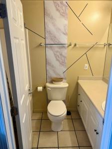 a bathroom with a white toilet and a sink at Downtown Loft Free Street Parking Gym w Sauna in Cleveland