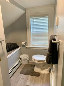 une salle de bain avec toilettes et fenêtre dans l'établissement Beautiful Victorian Apartment, à Bay City 7 autres photos