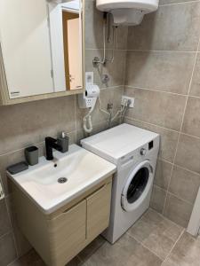 a bathroom with a washing machine and a sink at Damar Vista in Divčibare
