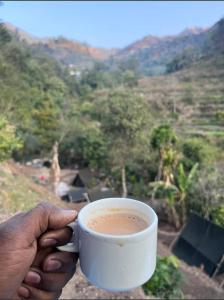 Φυσικό τοπίο κοντά σε αυτό το κάμπινγκ