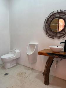 a bathroom with a toilet and a sink and a mirror at Rancho Valsan Cabaña El Tiro in El Oro de Hidalgo