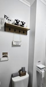 a bathroom with a toilet and a shelf on the wall at Micha Loft in Puerto Natales +15 photos