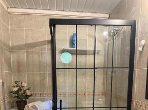 a shower with a glass door in a bathroom at Antalya merkez kaleiçi muhteşem size özel bahçeli özel VİLLA in Antalya +82 photos