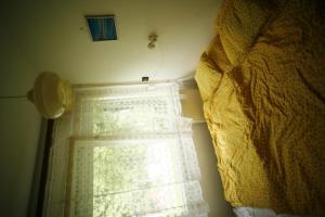 Fotografie z fotogalerie ubytování Sirály Apartman v destinaci Balatonfůzfő