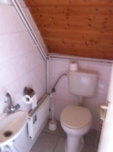 Koupelna v ubytování Sirály Apartman