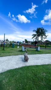 a cat sitting on the grass in a park at WV 32 Urban Scenic Studio in Sampong +2 photos