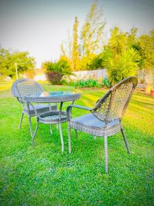 two chairs and a table sitting in the grass at Y & N BnB in Alberton