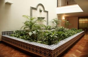 a large planter filled with plants in a hallway at Solar De La Plaza in Salta