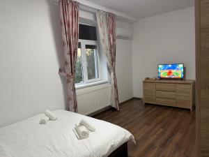 a bedroom with a bed and a tv and a window at Nova Central Apartment in Bacău