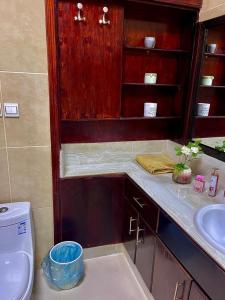 a bathroom with a sink and a toilet and a counter at شقق النخبه الجوهره1 in Arar