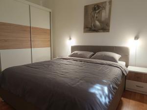 a bedroom with a large bed and a mirror at Holiday Home Višnja with Pool in Benkovac