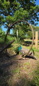 Le GourayにあるChambre entre terre et merの金属の輪の中に立っている鳥