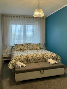ein Schlafzimmer mit einem großen Bett mit einer blauen Wand in der Unterkunft ApartamentywInie in Inowrocław
