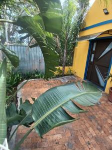 Zahrada ubytování Neo & Ruks Guest Houses Boston Belleville