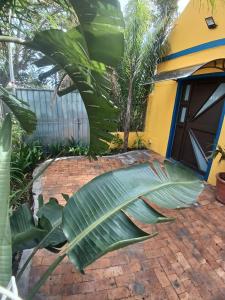 Zahrada ubytování Neo & Ruks Guest Houses Boston Belleville