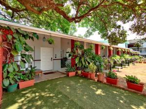 Un edificio con muchas plantas delante de él. en Chambers Mahabaleshwar, A Club Mahindra Associate Resort, en Mahabaleshwar