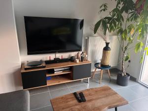 TV a/nebo společenská místnost v ubytování Charmante maison récente saint xandre