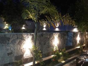 uma palmeira em frente a um muro de pedra com luzes em Relax Villa Koggala em Habaraduwa Central