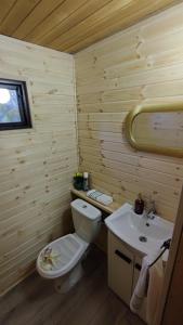 a bathroom with a white toilet and a sink at Chata Sovička in Kokava na Rimavica +39 photos