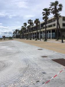uma rua vazia com palmeiras em frente a um edifício em séjour d'exception face a la marina et plage à 100m em Sète mais 8 fotografias